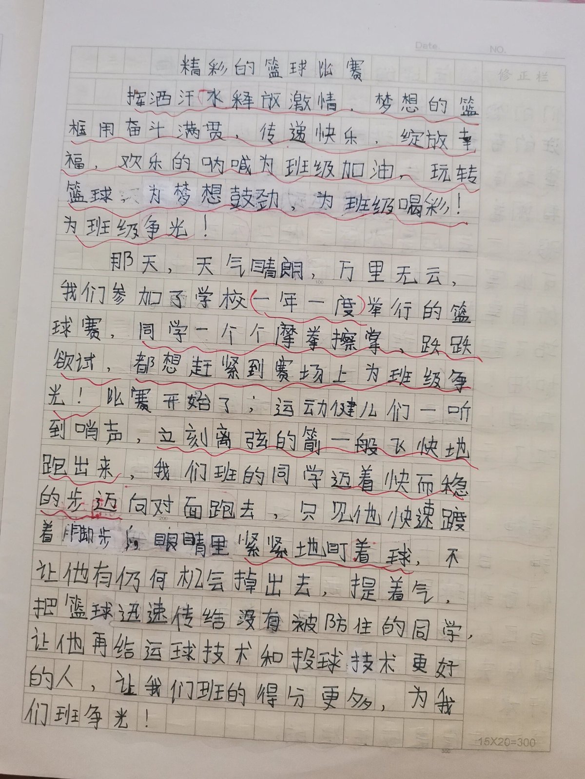 篮球训练心得300字左右